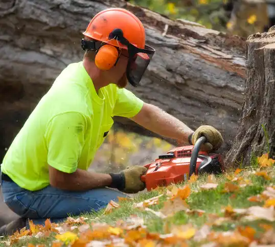 tree services Lillington